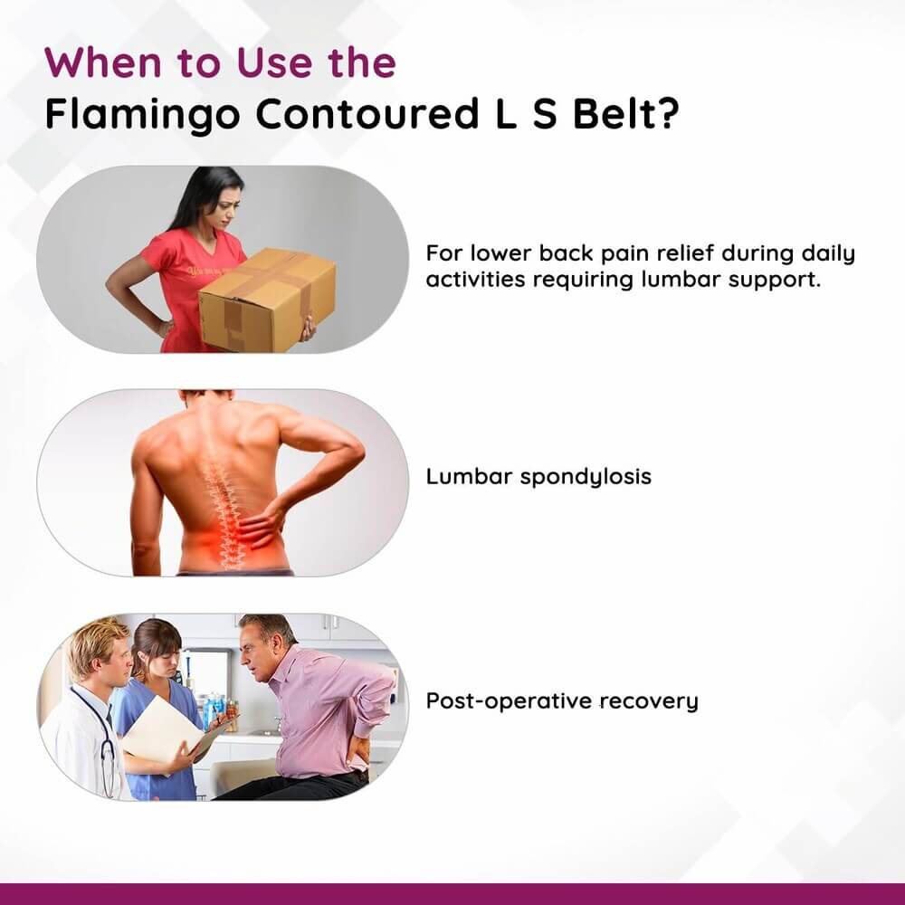 Flamingo Contoured Lumbar Sacro Belt - Large, Back Braces