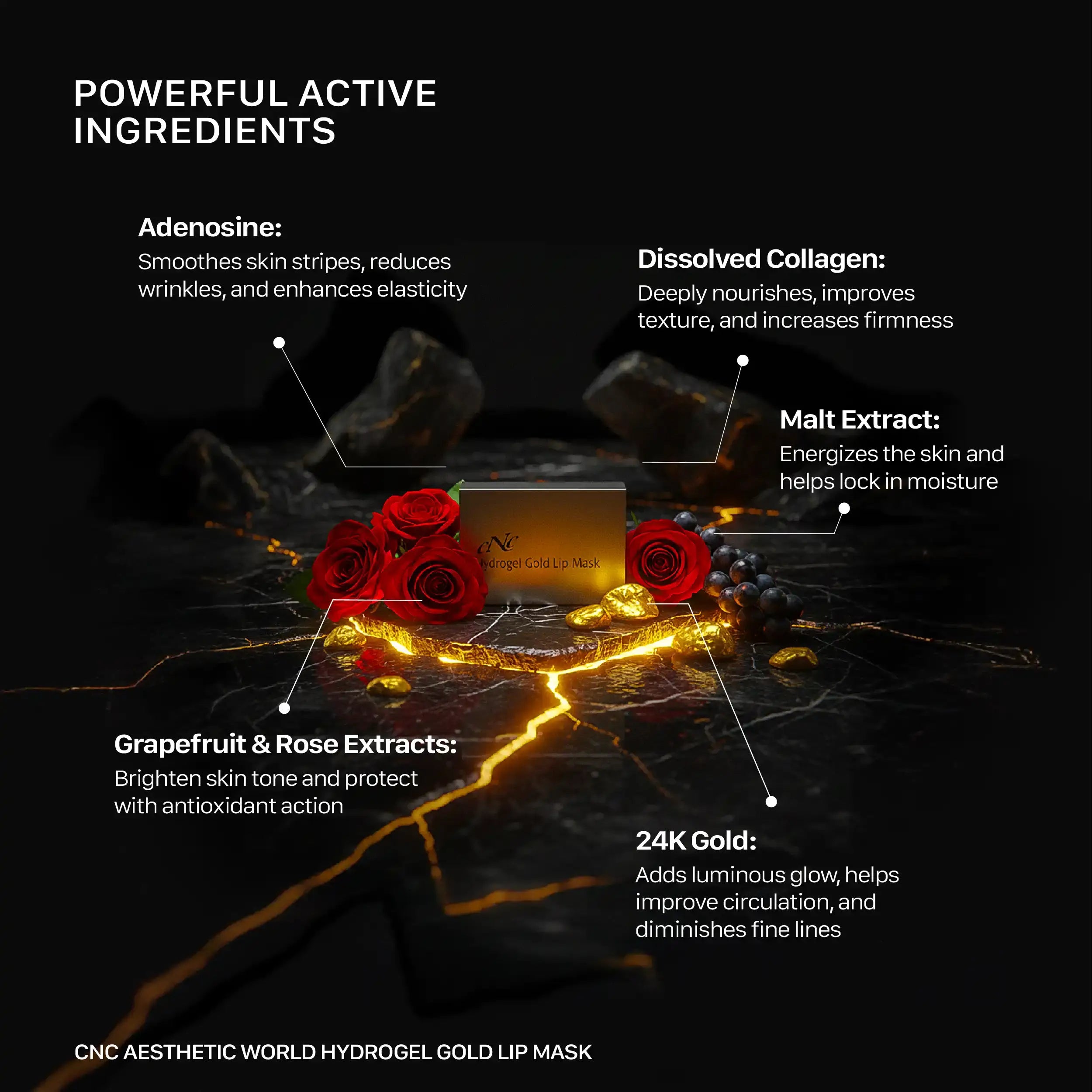 CNC Aesthetic World Hydrogel Gold Lip Mask – 2 Pieces