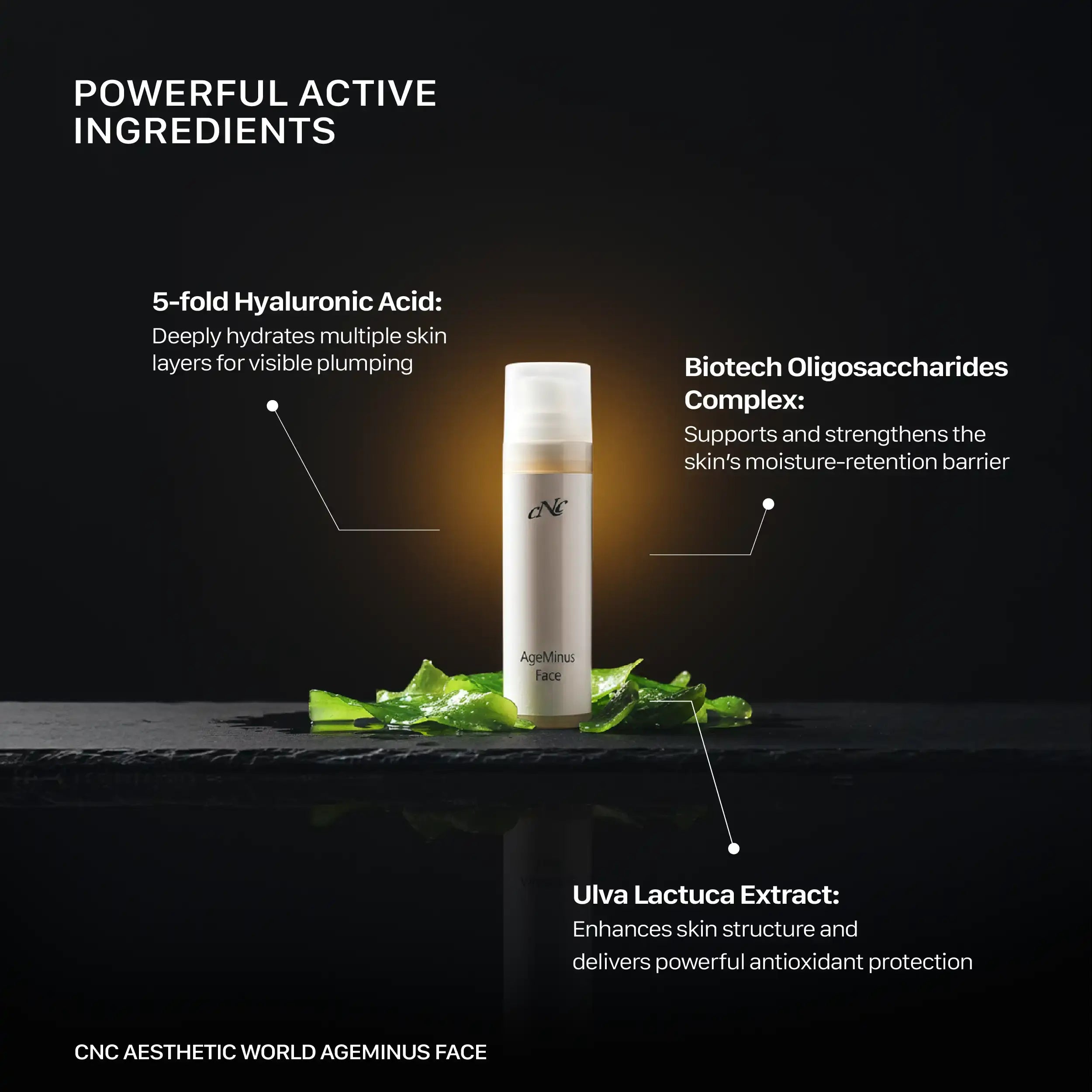 CNC Aesthetic World AgeMinus Face Serum 100ml