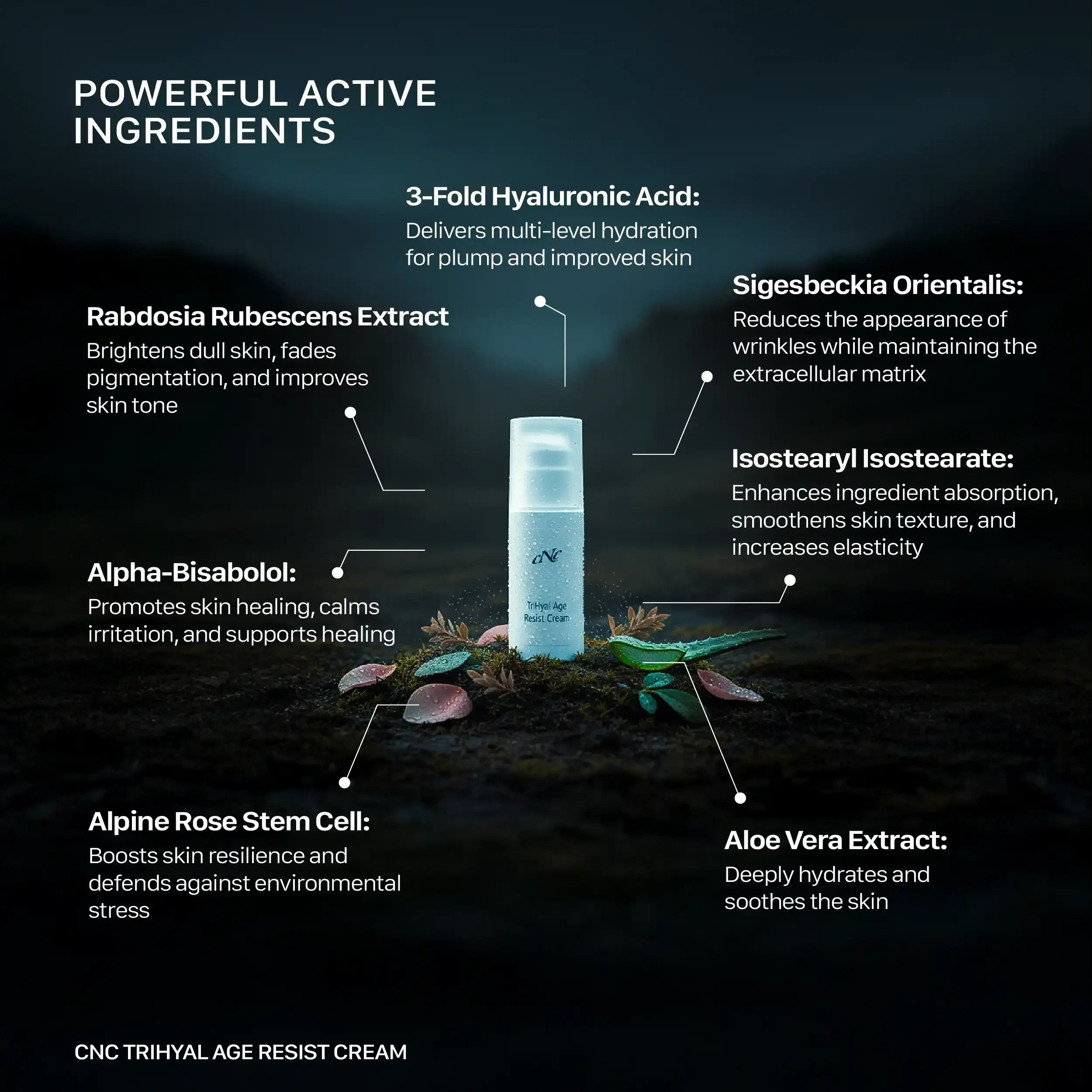 CNC TriHyal age resist cream 100 ml, Anti-Aging Skin Care