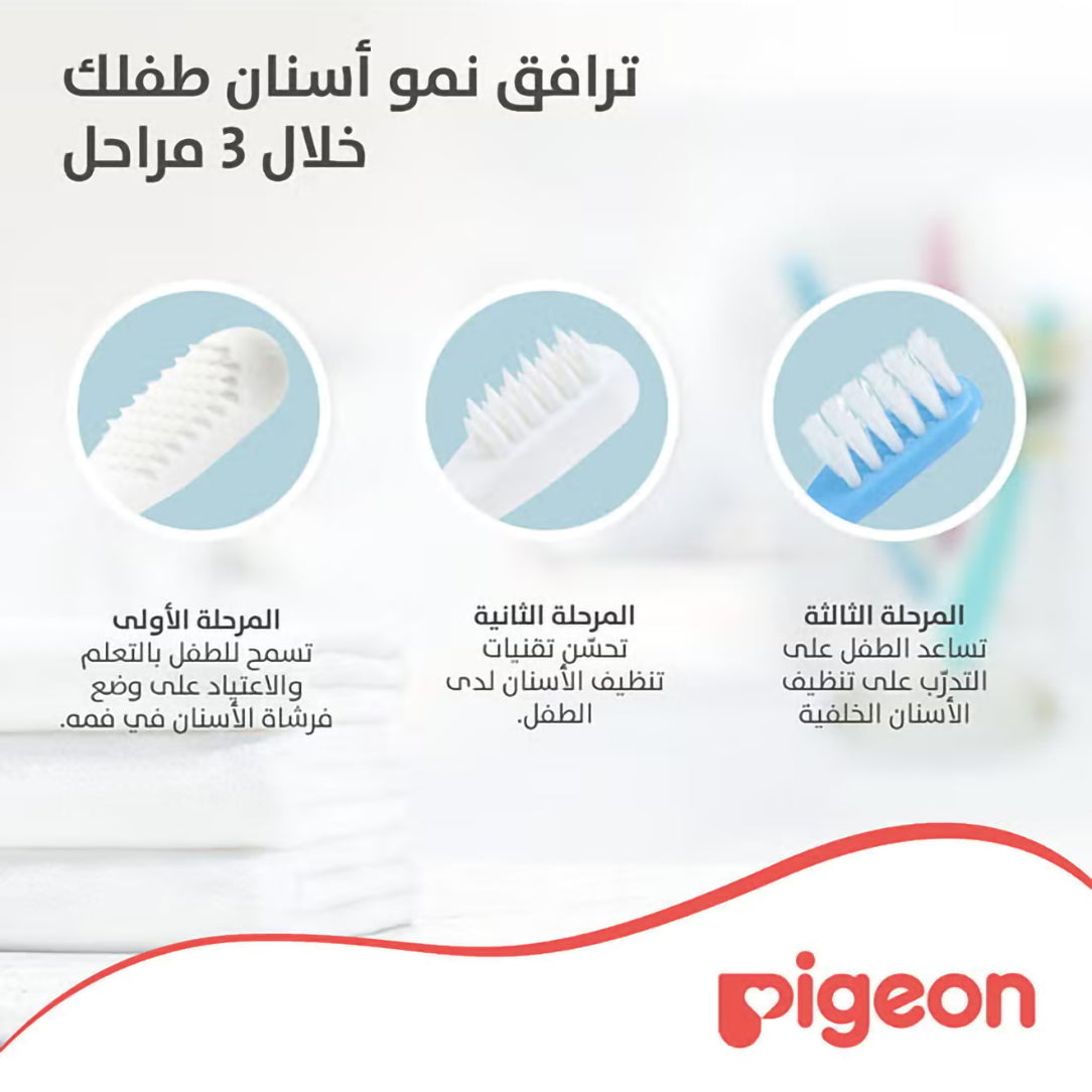 Pigeon Baby Training Toothbrush Lesson 3 - 12M+, Toothbrushes