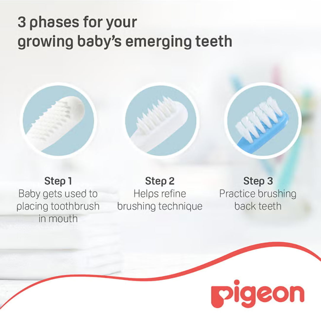 Pigeon Baby Training Toothbrush Lesson 3 - 12M+, Toothbrushes